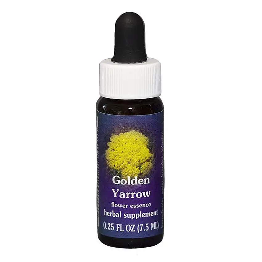 goldenyarrow28430-1