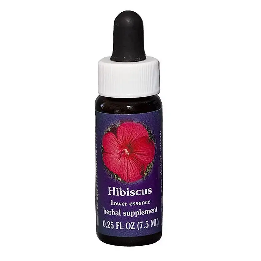 hibiscus28433-1