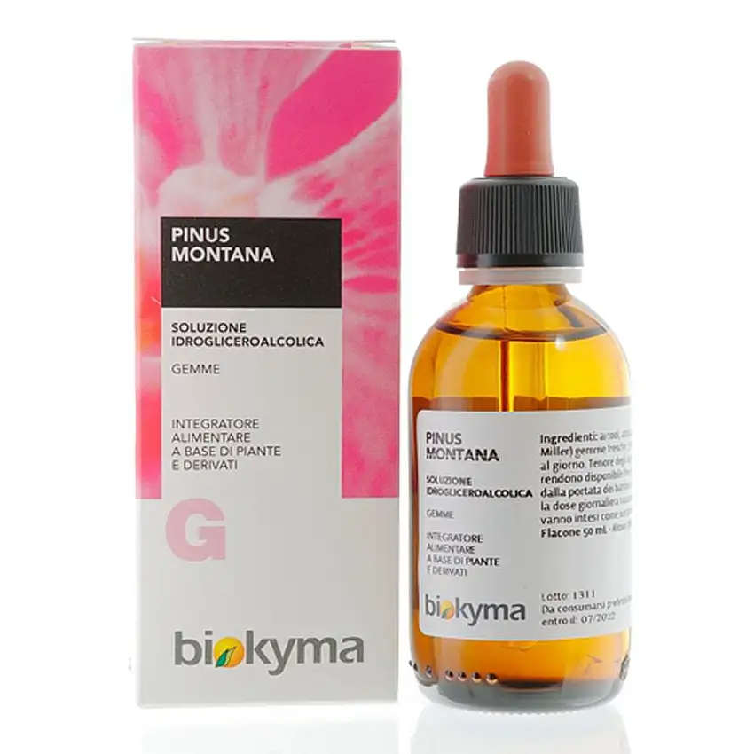 mgpinusmontana-1