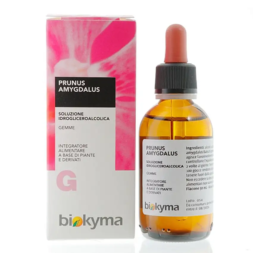 mgprunusamygdalus-1