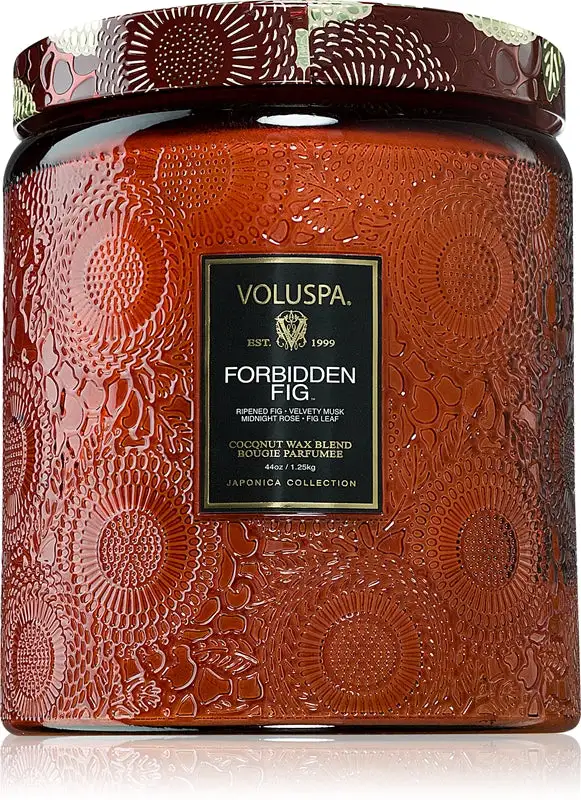 japonica-forbidden-fig___250606-1